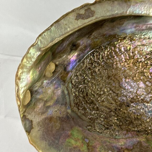 Vintage MCM Large Abalone Shell Footed Bowl Dish Smudge Stick Candy Trinket - Picture 4 of 8